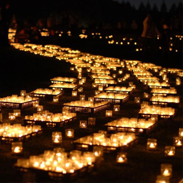 ティーライトキャンドル クリアカップ 燃焼 約4時間 1,000個 ティー