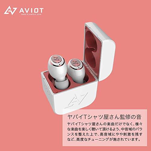 AVIOT × ヤバイTシャツ屋さんTE-D01g-ybt ワイヤレスイヤホン ヤバイT