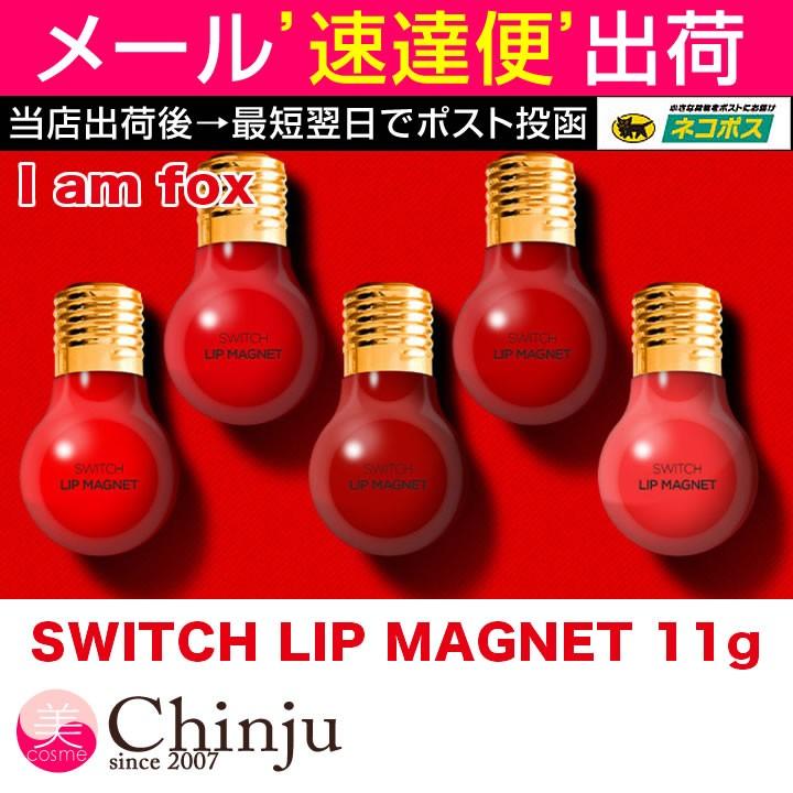 switch lip magnet