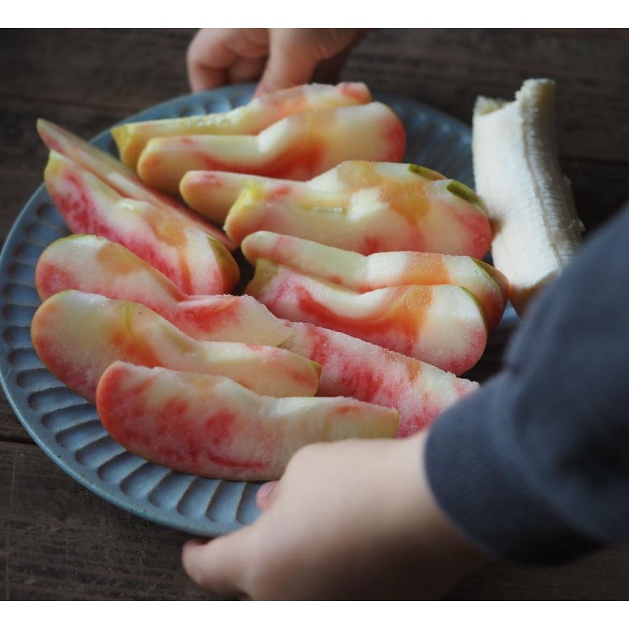 直営店 ひらひらの器 ラウンドプレートＬ 日本製 美濃焼 陶器 パンとごはんと... 菱沼未央さん  M044 | CHIPS | 09