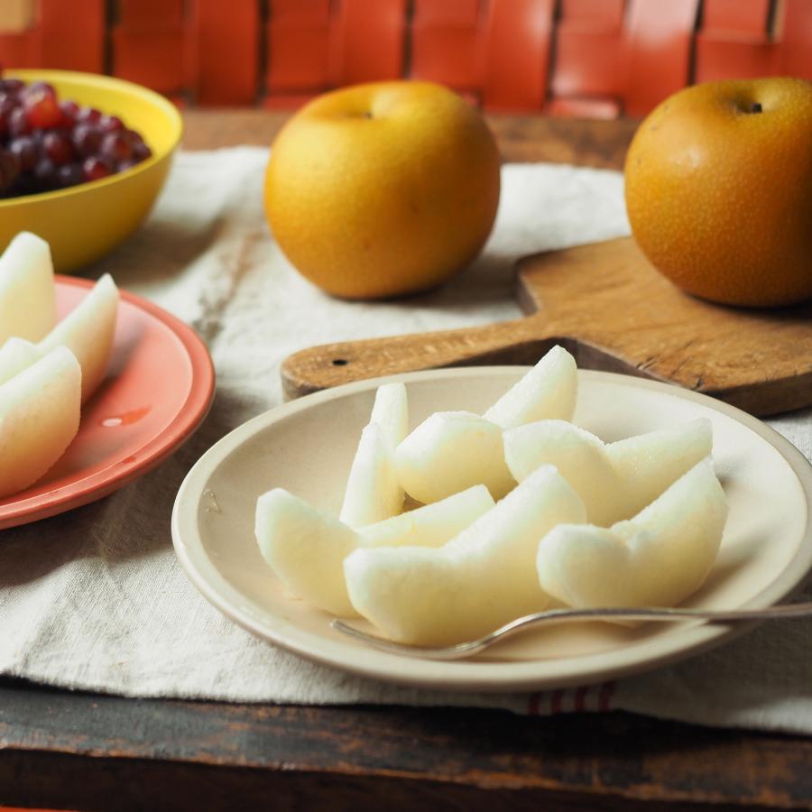 直営店 Sai Plate M サイ プレートＭ 直径20cm 優しいカラーの8色展開 日本製 美濃焼 中皿 リサイクル SDGs |  | 15