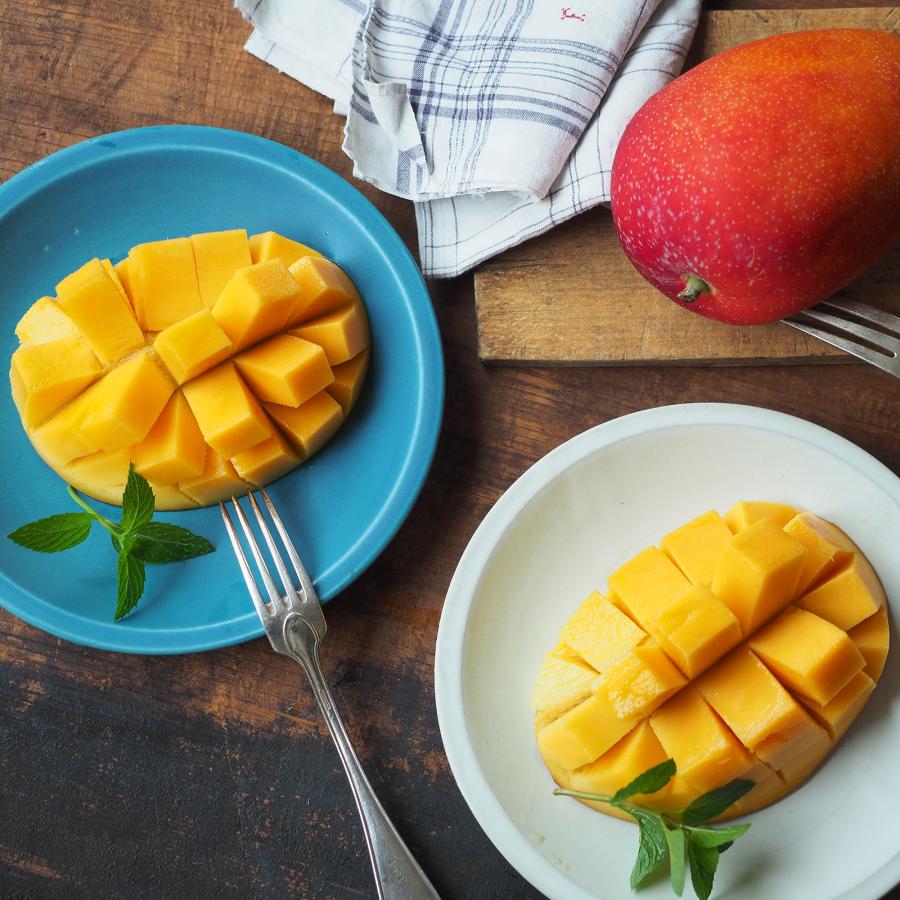 直営店 Sai Plate M サイ プレートＭ 直径20cm 優しいカラーの8色展開 日本製 美濃焼 中皿 リサイクル SDGs |  | 18