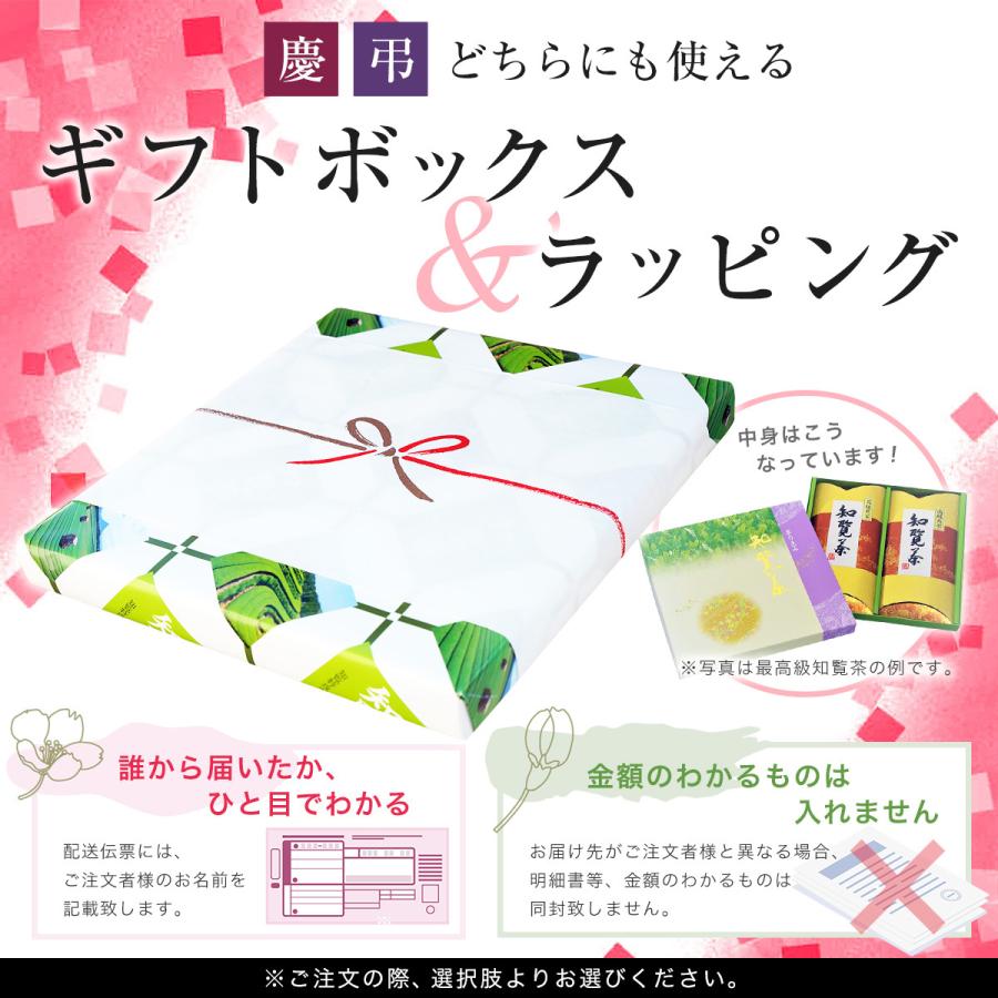 新茶になりました！知覧茶ギフトセット 煎茶 深蒸し茶 高級 90g×2本