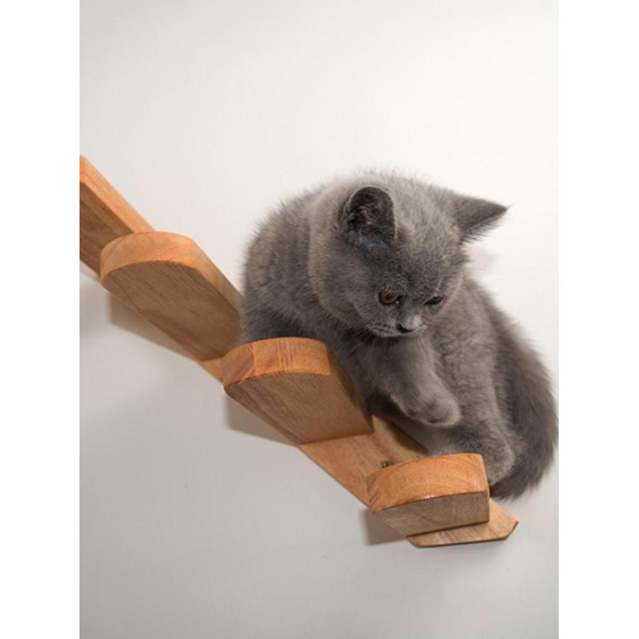 最安値に挑戦】 chiroru3 shopキャットウォーク 壁付け 階段 木製 ジャンプ台 子猫 ペット家具 sms.ssodl.edu.in
