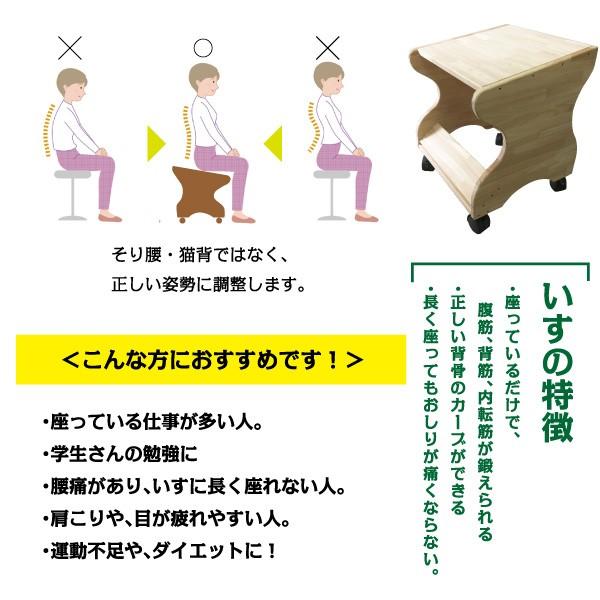 最新人気 姿勢調整座具 座王 ざおう 座るだけ体幹トレーニング 猫背矯正 肩こり 腰痛 背筋 即納最大半額 Www Gran Gusto It