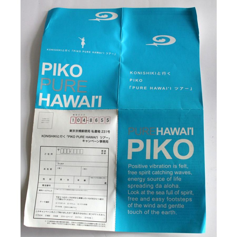 1398/未使用品/PIKOピコ PURE HAWAIIピュアハワイ マグカップ 1個