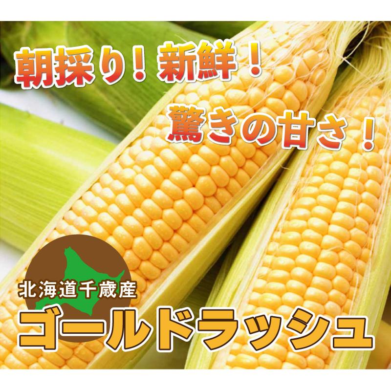 GOLD RUSH（ゴールドラッシュ） とうもろこし M〜2L混合 20本入り