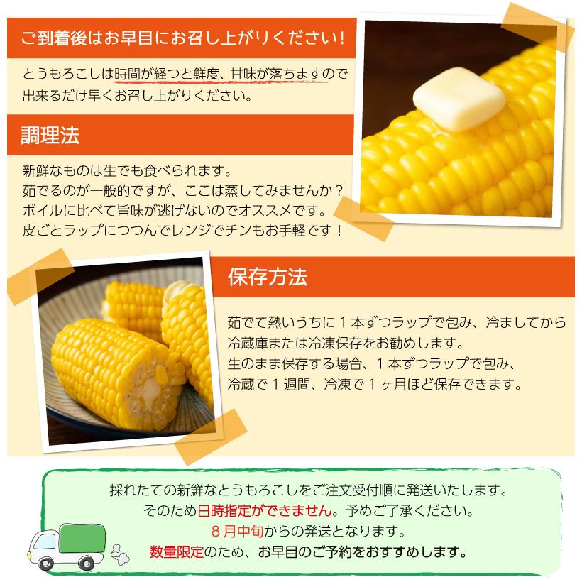 GOLD RUSH（ゴールドラッシュ） とうもろこし M〜2L混合 20本入り