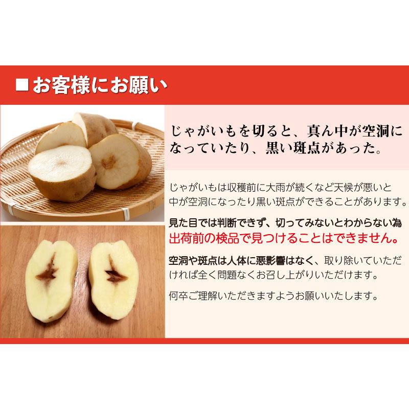 インカのめざめ 新じゃが 15kg S〜2Lサイズ混合 北海道 千歳産 ご予約販売 9月下旬以降発送予定 じゃがいも ジャガイモ 送料無料 訳あり :kf-inka-15:チトセスポーツ - 通販 - Yahoo!ショッピング インカのめざめ 新じゃが 15kg S〜2Lサイズ混合 北海道 千歳産 ご予約販売 9月下旬以降発送予定 じゃがいも ジャガイモ 送料無料 訳あり :kf-inka-15:チトセスポーツ - 通販 - Yahoo!ショッピング