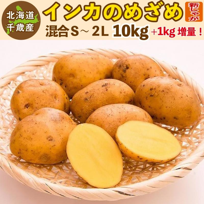 インカのめざめ 新じゃが 11kg（混合S〜2L）北海道 千歳産 じゃがいも
