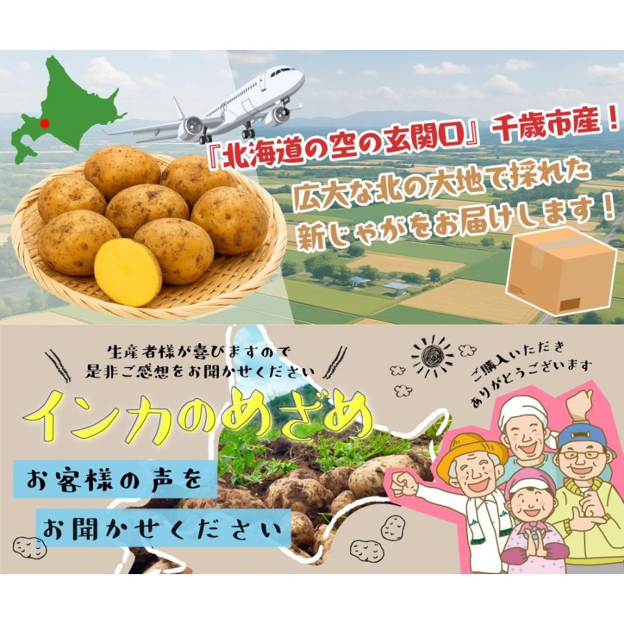 インカのめざめ 新じゃが 15kg（混合S〜2L）北海道 千歳産 ご予約販売