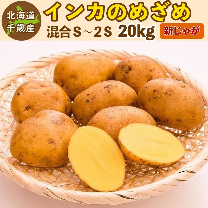 北海道 熟成じゃがいも インカのめざめ S 20kg 【公式通販】