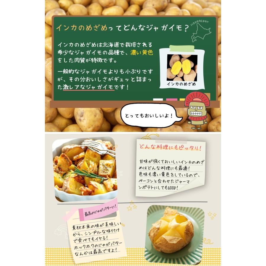 インカのめざめ 新じゃが 2kg（混合S〜2L）北海道 千歳産 ご予約販売 9