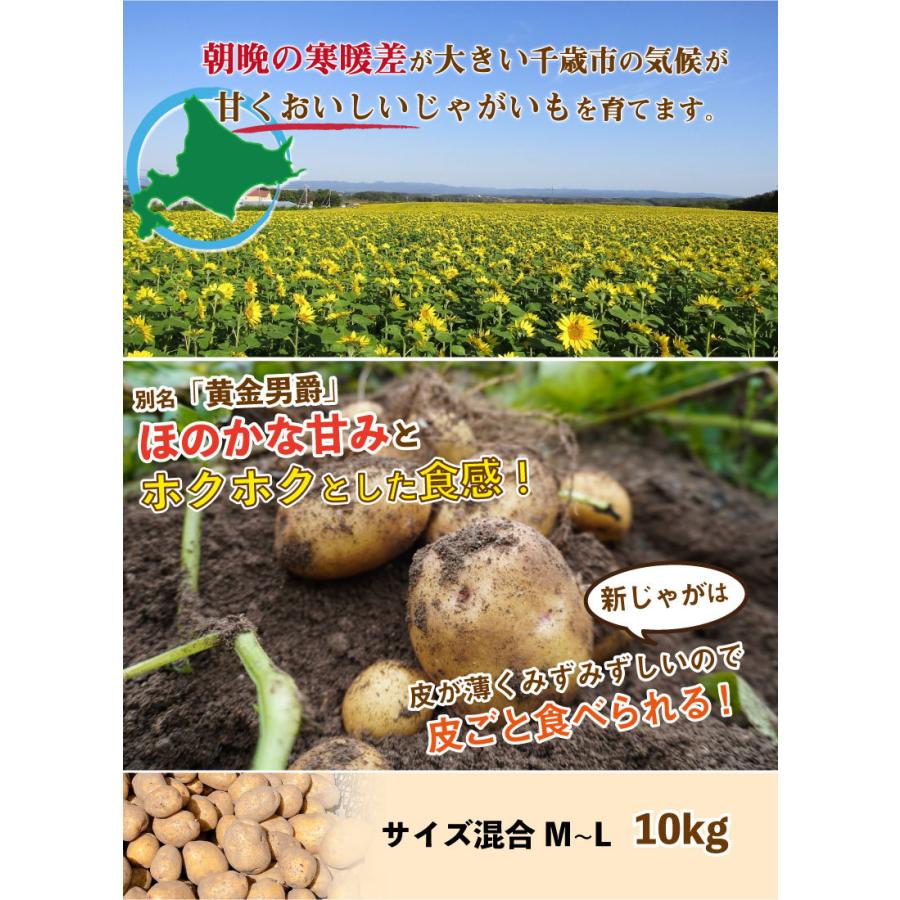 北海道産 きたあかり ｍ ｌサイズ混合 10kg 越冬 ご予約販売 1月中旬発送予定 じゃがいも ジャガイモ キタアカリ 北あかり 送料無料 Kf Kitaakari 10 チトセスポーツ 通販 Yahoo ショッピング