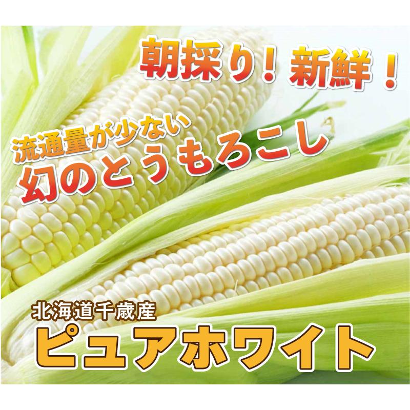 【5/31以降順次発送】白いとうもろこしピュアホワイト20本セット 白いとうもろこし ピュアホワイト L〜2L混合 20本入り 北海道