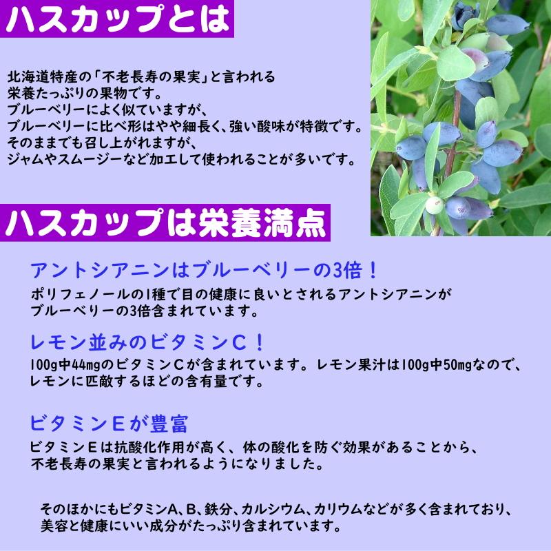 冷凍ハスカップ 2kg 北海道産 送料無料 : チトセスポーツ - 通販
