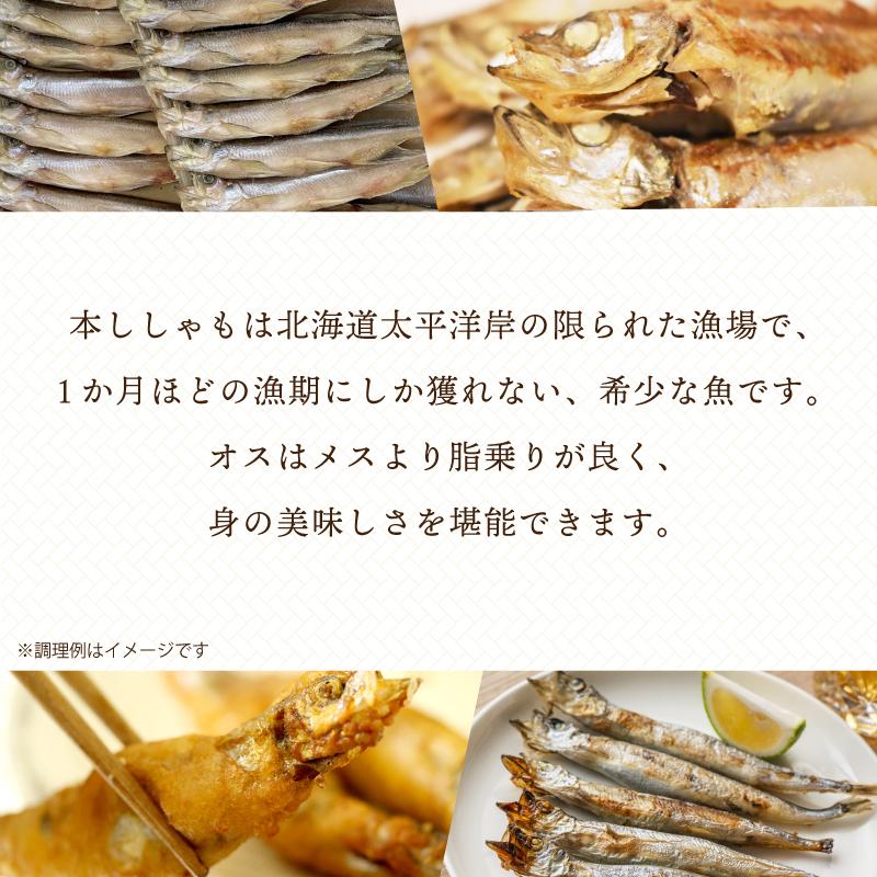 北海道産 本ししゃも オス 30尾入 シシャモ 柳葉魚 送料無料 : チトセ