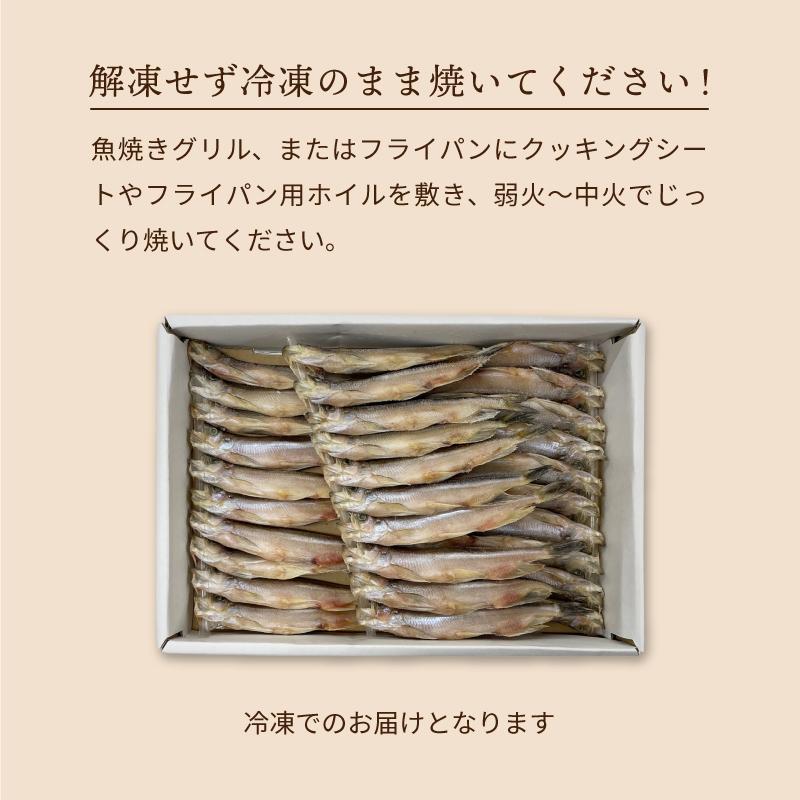 北海道産 本ししゃも オス 30尾入 シシャモ 柳葉魚 送料無料 : チトセ