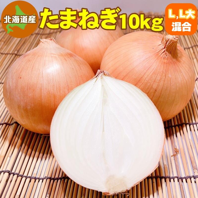北海道産玉ねぎ L大サイズ 10キロ - 野菜
