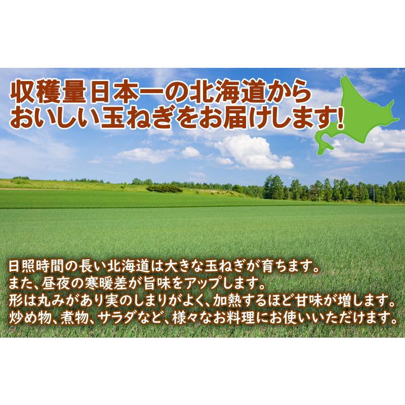 北海道産 たまねぎ 10kg Ｌ〜Ｌ大サイズ 送料無料 タマネギ 玉ねぎ 玉葱 玉ネギ｜chispo｜02