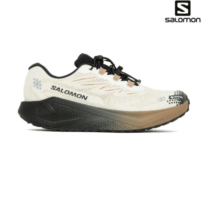 SALOMON（サロモン） エアロ ブレイズ 4 グラベル ゴアテックス AERO