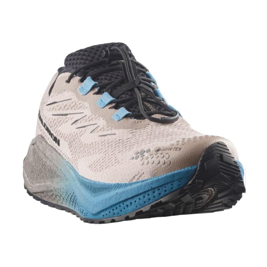 SALOMON（サロモン） 即日出荷 エアロ ブレイズ 4 グラベル ゴアテックス AERO BLAZE 4 GRVL GTX ...