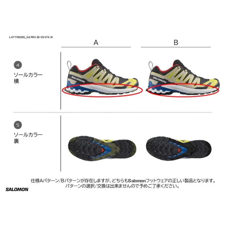 SALOMON（サロモン） エックスエープロ3D V9 GTX XA PRO 3D V9 GTX