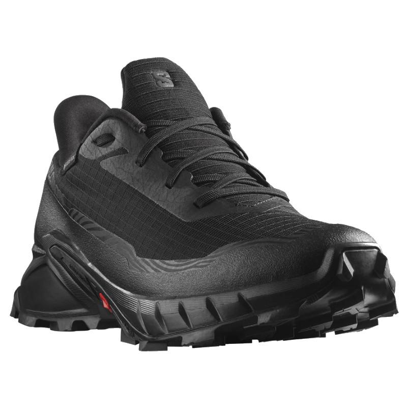 SALOMON（サロモン） アルファクロス 5 GTX ALPHACROSS 5 GTX 