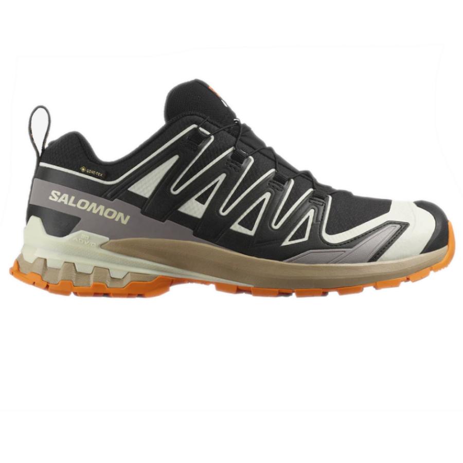 SALOMON（サロモン） エックスエープロ 3D V9 GTX XA PRO 3D V9 GTX