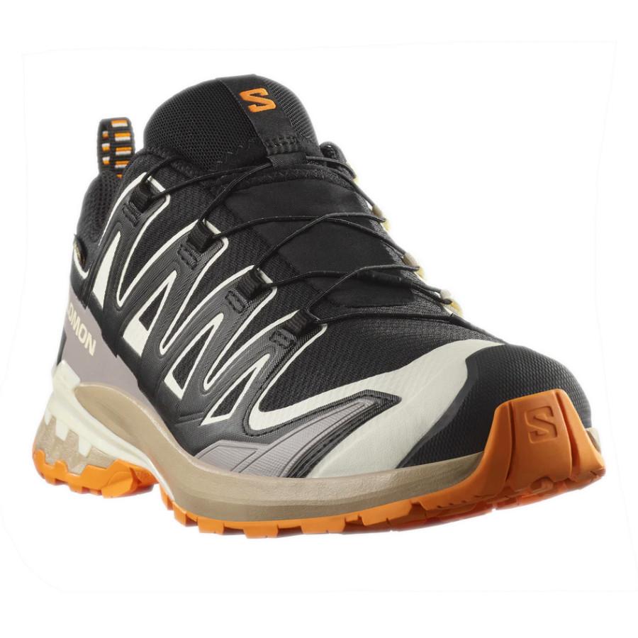 SALOMON（サロモン） エックスエープロ 3D V9 GTX XA PRO 3D V9 GTX
