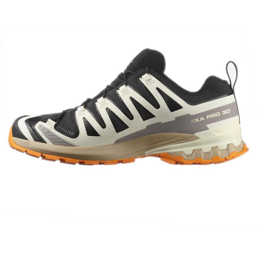 SALOMON（サロモン） エックスエープロ 3D V9 GTX XA PRO 3D V9 GTX