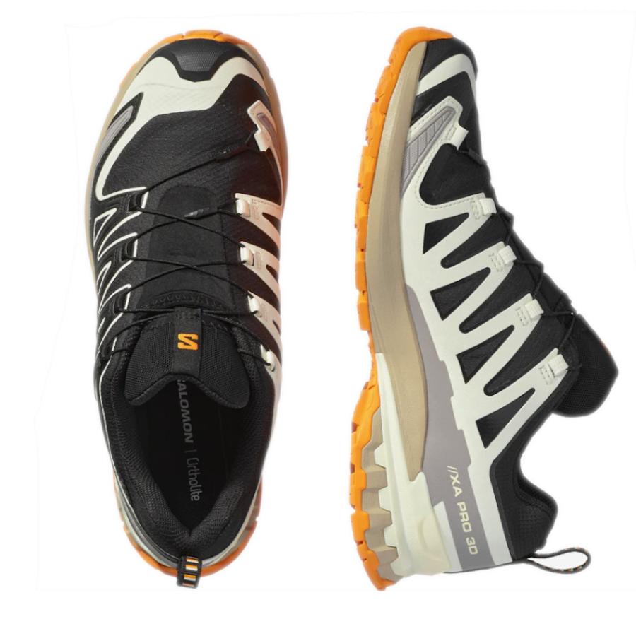 SALOMON（サロモン） エックスエープロ 3D V9 GTX XA PRO 3D V9 GTX