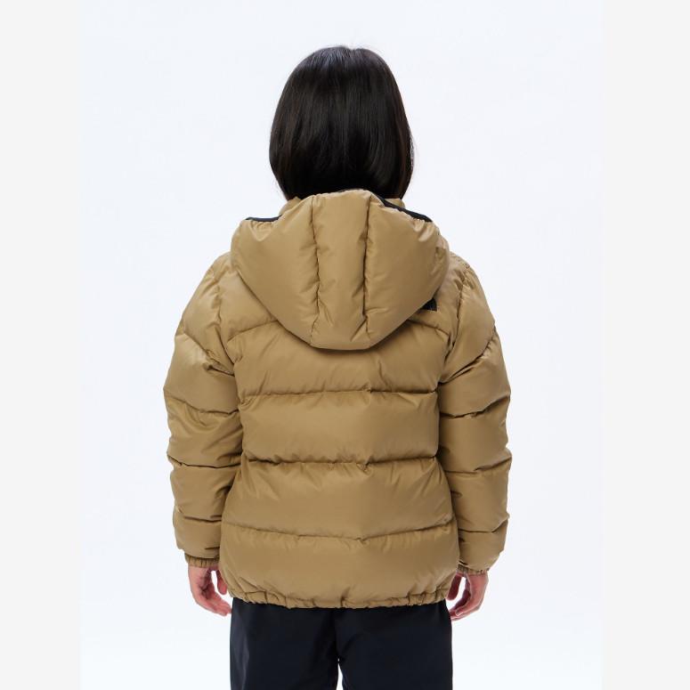 THE NORTH FACE（ザ ノースフェイス） アコンカグアフーディ Aconcagua