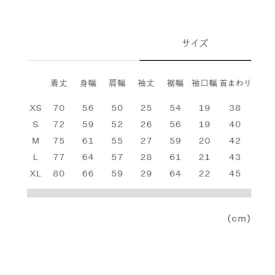 THE NORTH FACE ザ・ノース・フェイス ショートスリーブヌプシシャツ NR22552 ユニセックス 2025SS メール便対応 ノースフェイスの画像