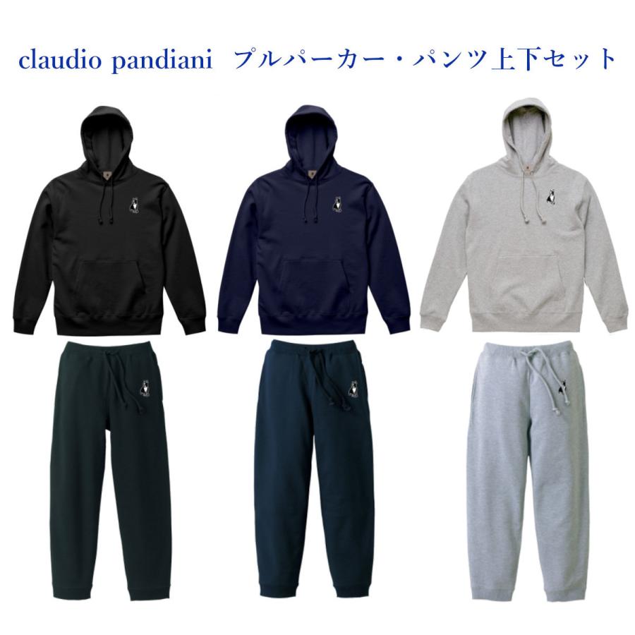 SoccerJunky（サッカージャンキー） クラウディオ・パンディアーニ 
