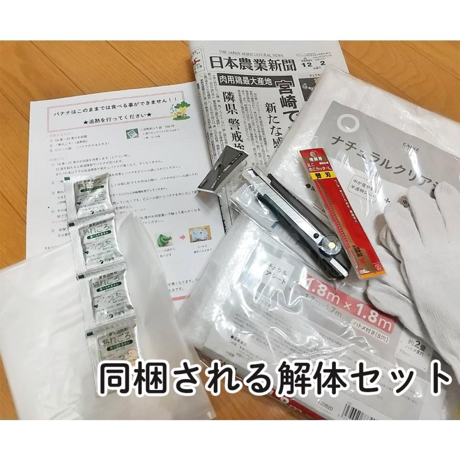 大きなバナナの房、丸ごとそのままお届け 