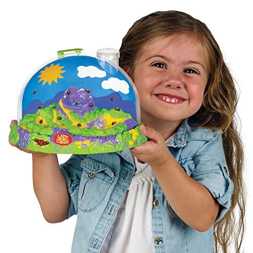 昆虫伝承ライブてんとう虫育成キット玩具 昆虫伝承ライブてんとう虫育成キット玩具