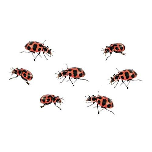 昆虫伝承ライブてんとう虫育成キット玩具 昆虫伝承ライブてんとう虫育成キット玩具