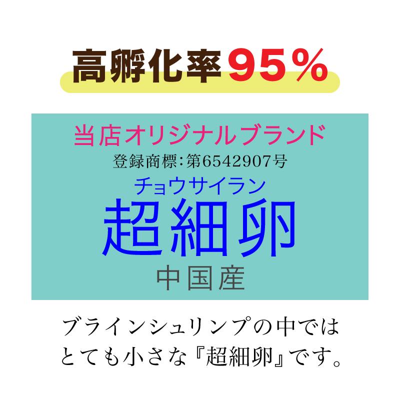 ブラインシュリンプエッグ 100g 超細卵 チョウサイラン 孵化率95