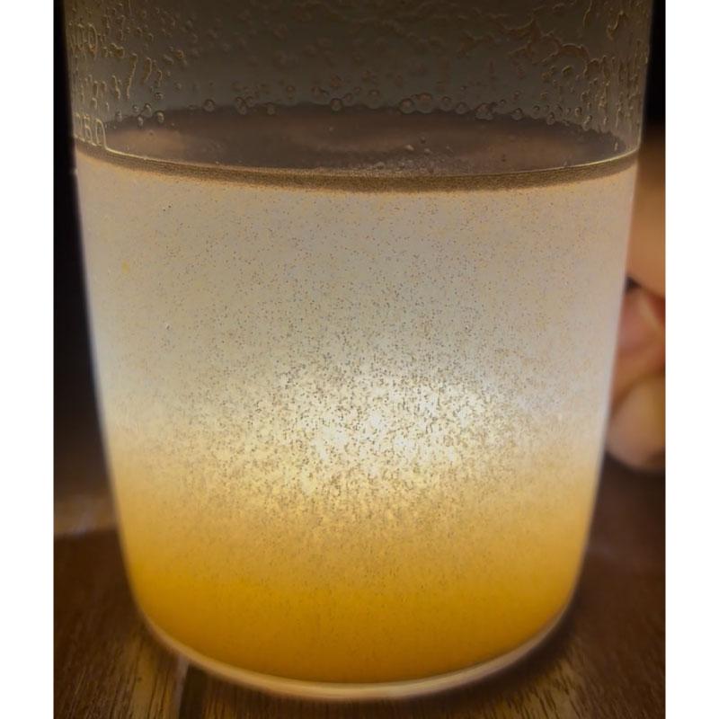 ブラインシュリンプエッグ 100g 超細卵 チョウサイラン 孵化率95