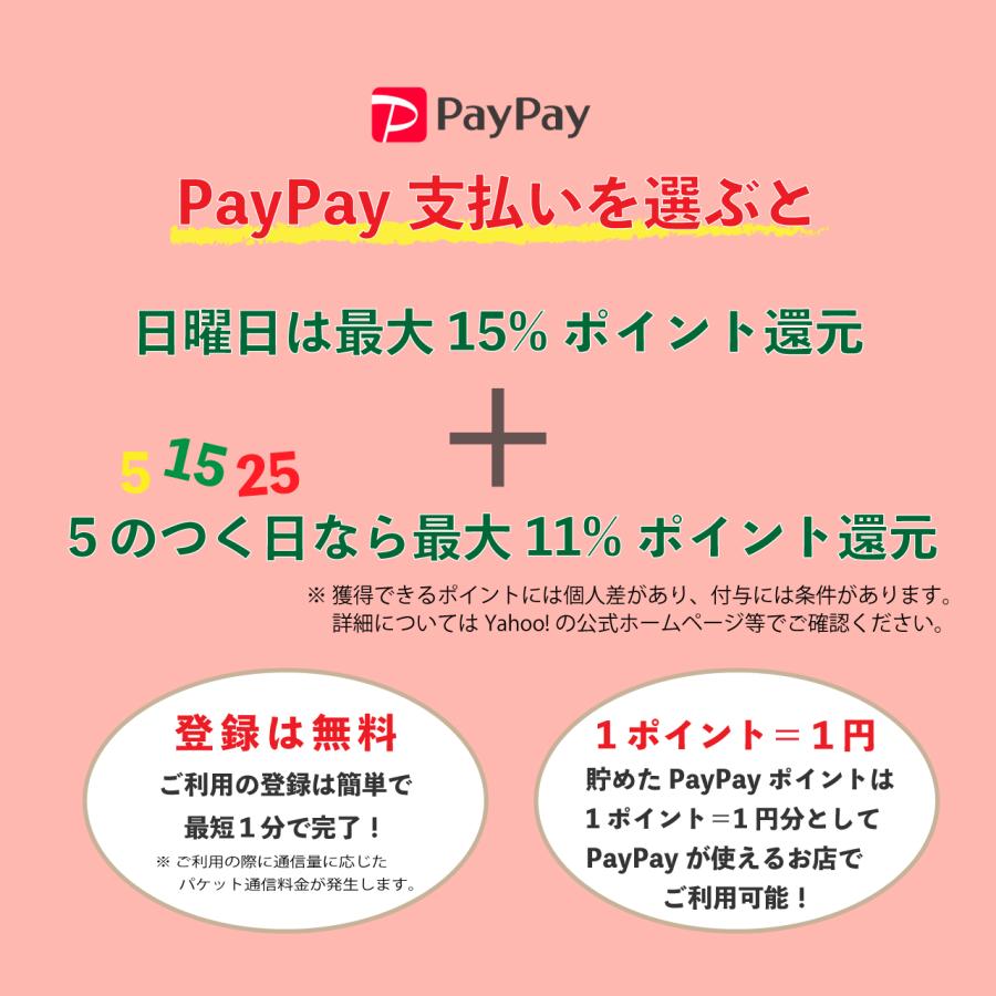 ブラインシュリンプエッグ 100g 大卵 オオラン 孵化率90% 中国産