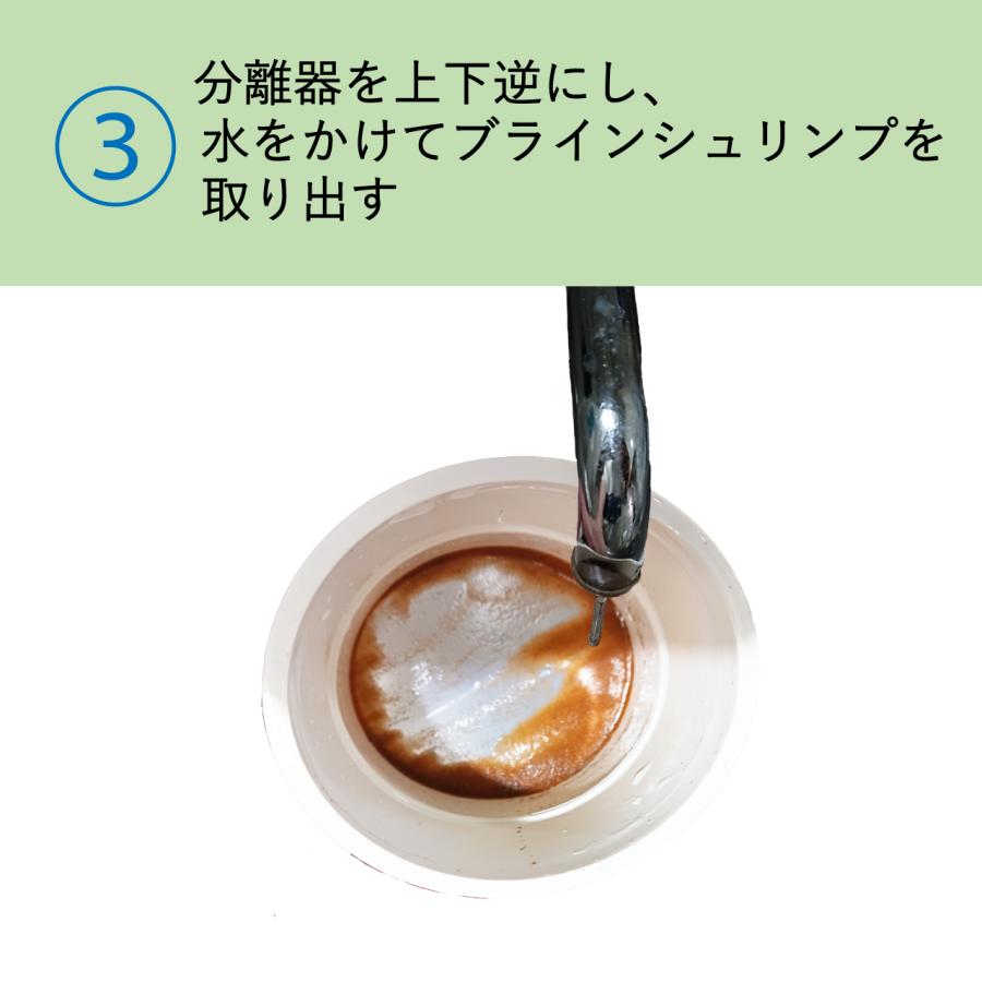 分離器 ブラインシュリンプ用 3種類セット 80メッシュ 100メッシュ 200