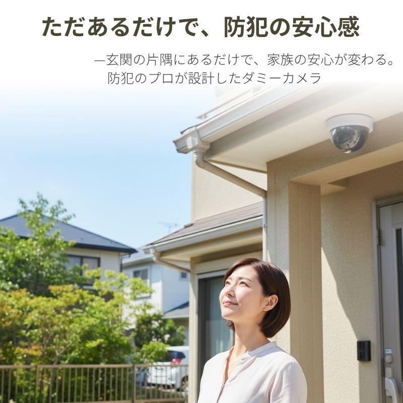 ダミーカメラ ドーム型 2個セット 両面テープ ネジ付 防犯ステッカー