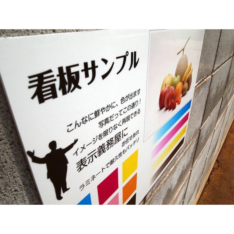 英字と日本語の駐車禁止看板｜chiyoda｜03