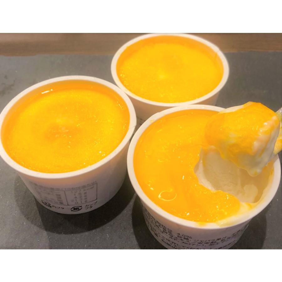 アイス じゃばら 果汁 ジャバラ アイス 12個入 アイスクリーム バニラ フルーツソース J02 1 食材通販サイト道の駅ちよマルシェ 通販 Yahoo ショッピング