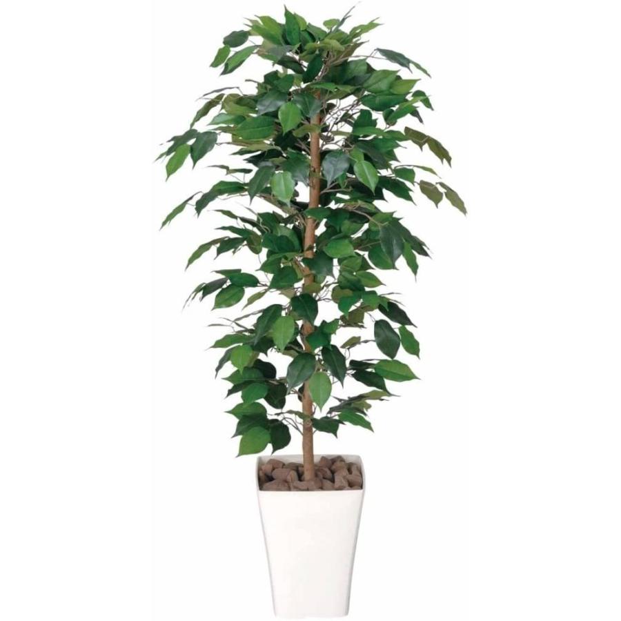 超美品 光触媒 人工観葉植物 光の楽園 フィカスベンジャミン 1 2m 1a170 ちよさんストア 通販 Yahoo ショッピング 値下げ事業 Flamespabali Com