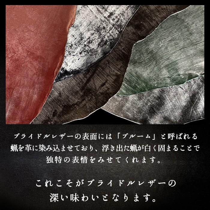 SO-51D SOG10 A301SO ケース SO-54C SOG09 A204SO カバー SO-53D SOG12 手帳型ケース SO-53C SOG08 A203SO スマホケース SOG06 A201SO 本革 ブライドル レザー | アンドロイド | 14