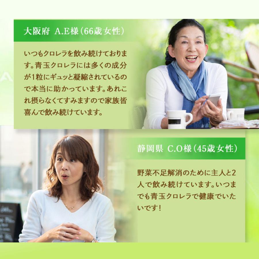 サプリ サプリメント 青玉クロレラ クロレラ含有量を強化 栄養機能性食品 葉酸 鉄 葉緑素とC.G.F.が豊富