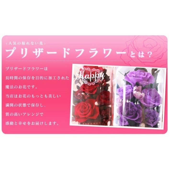 還暦祝い プリザーブドフラワー 赤い薔薇 レッドドーム 選べるカラー8色 D058 Chloris Flower 通販 Yahoo ショッピング