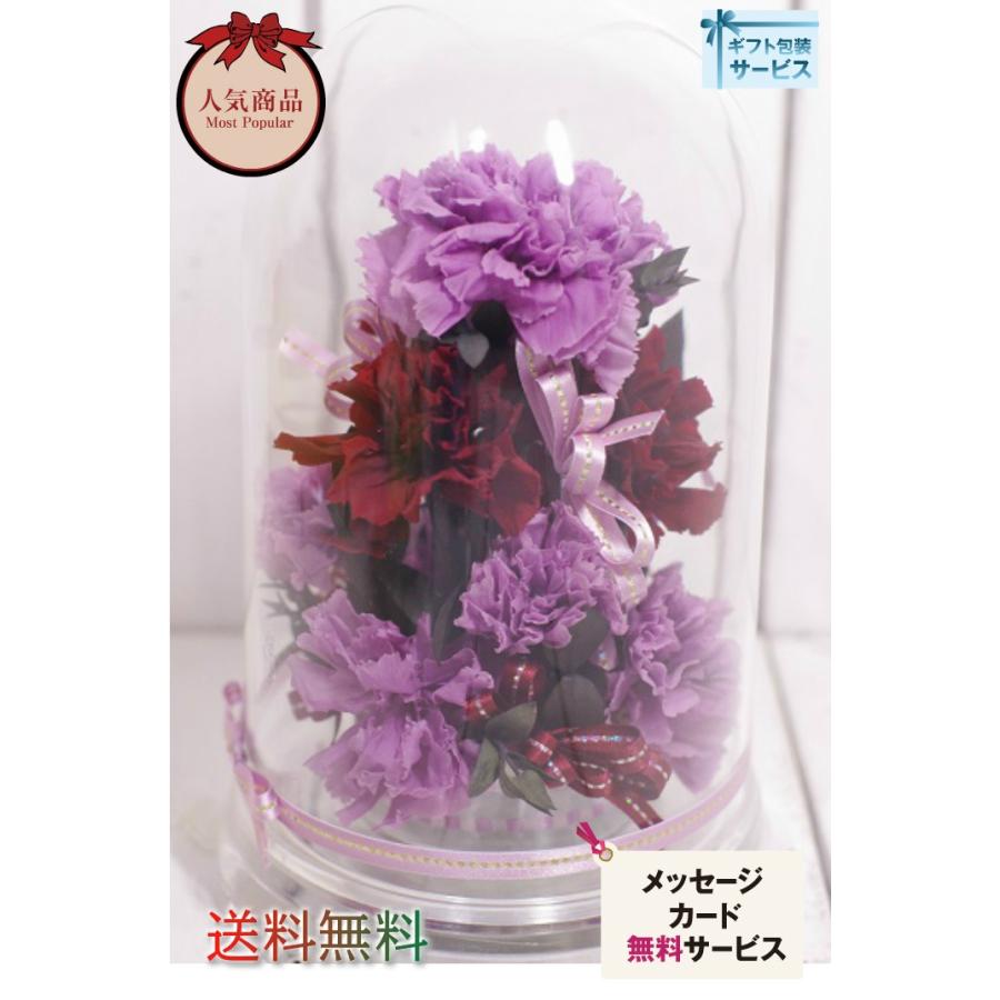 紫 カーネーション プリザーブドフラワー パープルカーネ ドームアレンジ D552 Chloris Flower 通販 Yahoo ショッピング